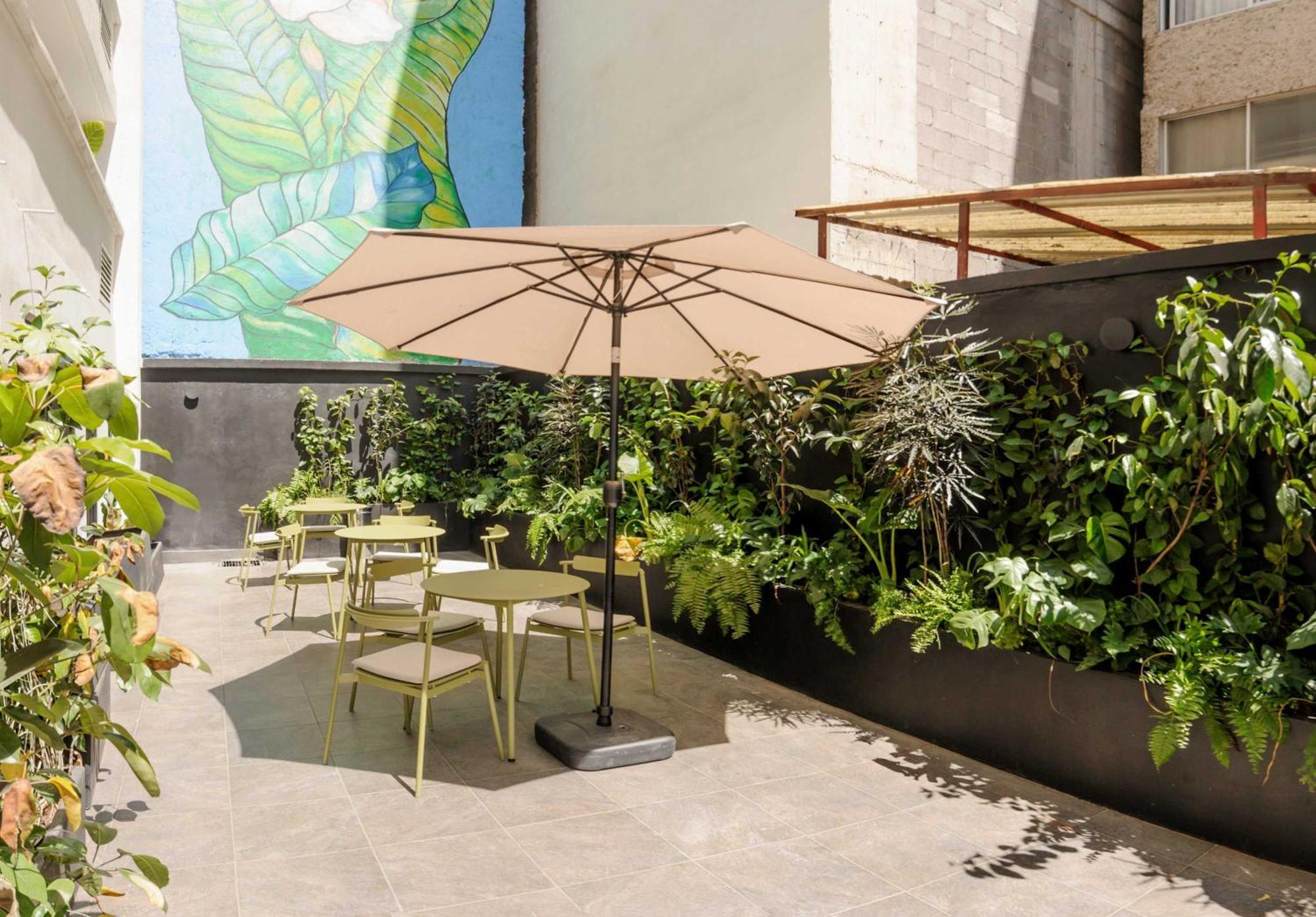 Colima 340 By Wynwood House Apartment Mexico City Luaran gambar